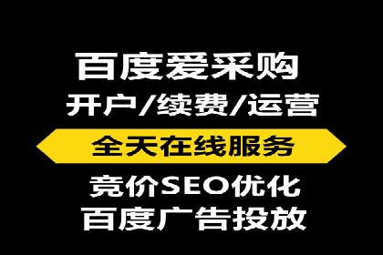 SEM服务公司成功案例解读