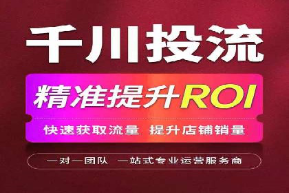 百度竞价代运营公司：如何选择合适的投放平台